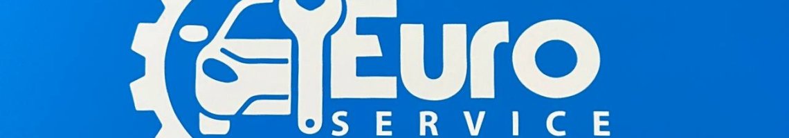 Euro servis iskele Sanayi  oto mekanik şanzıman 